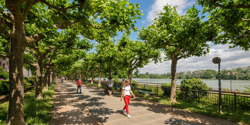 Rhine River waterfront in Mainz Germany.