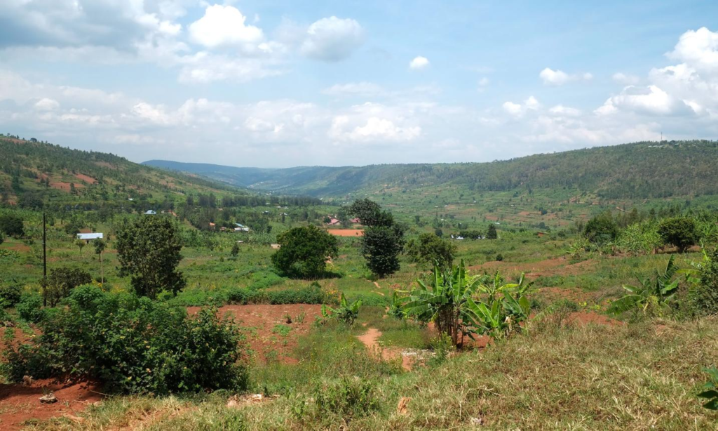 Rwamagana hills and nature