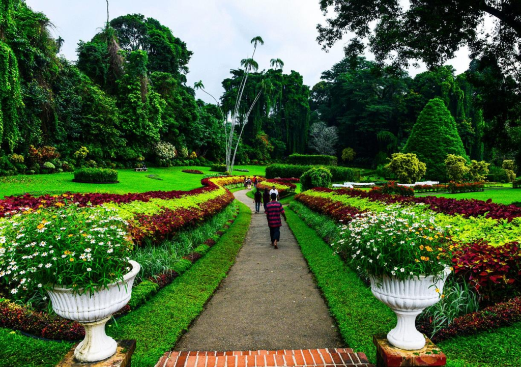 The Royal Botanical Gardens in Kandy, Sri Lanka, showcasing lush greenery and landscaped gardens.