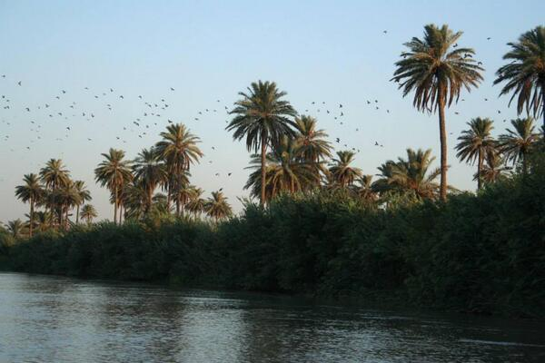 Natural landscape in Maysan Governorate Iraq.